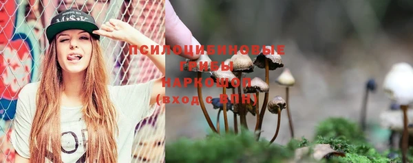 винт Рославль