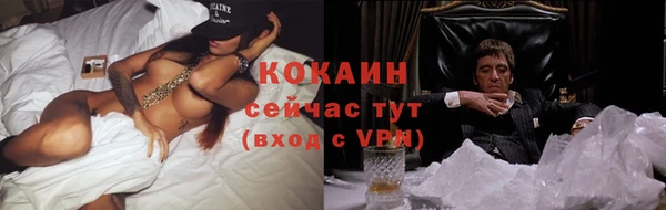 мяу мяу мука Ростов
