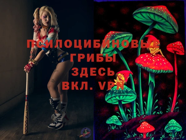 экстази Алексин