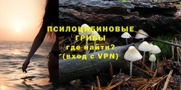 ешки Алексеевка