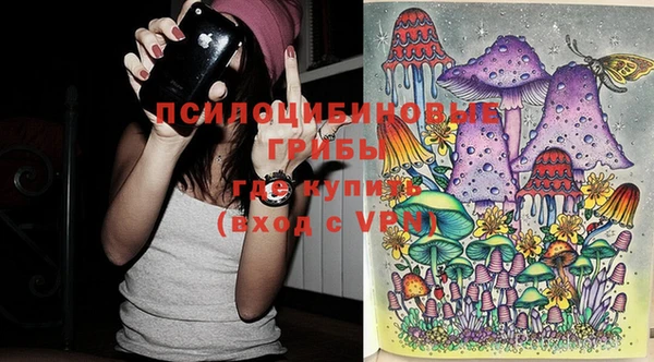 ешки Алексеевка