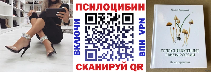Псилоцибиновые грибы мухоморы  наркотики  Биробиджан 