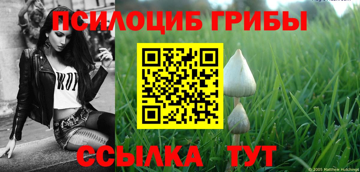 Галлюциногенные грибы GOLDEN TEACHER  Вход с VPN  Биробиджан 